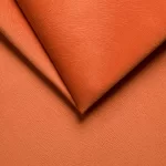 Jungle_Orange